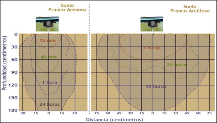 Distribución del bulbo húmedo en dos tipos de suelo.