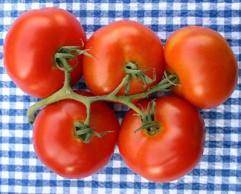 TOV, tomate en racimo