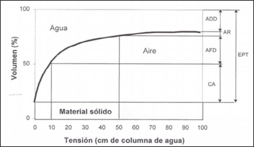  Curva 