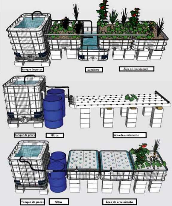 Esquema general de un sistema acuapónico 