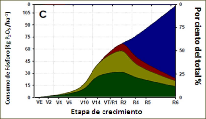  Acumulacion de fosforo 