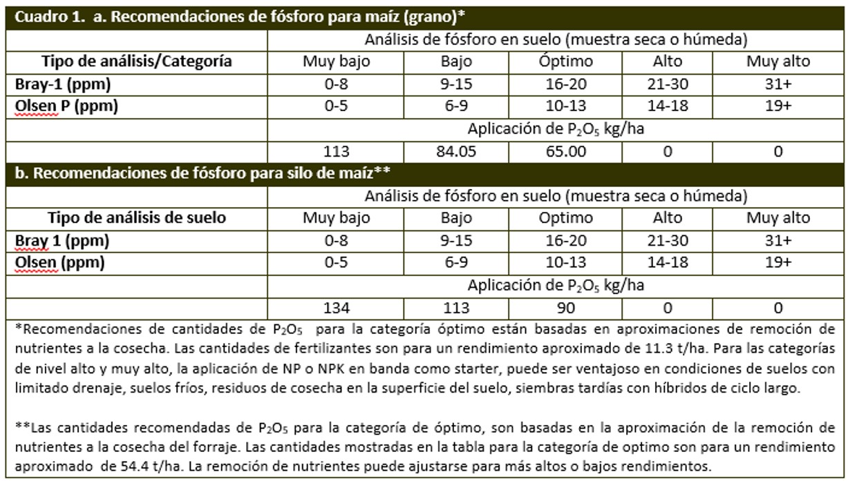 Recomendaciones de fosforo