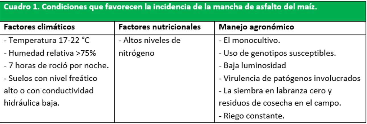 Condiciones