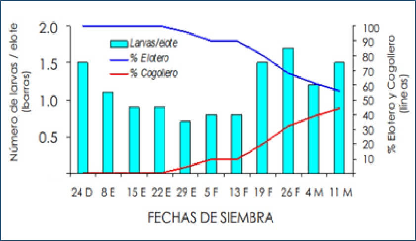  Efecto 