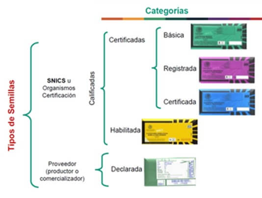 Tipos de semillas