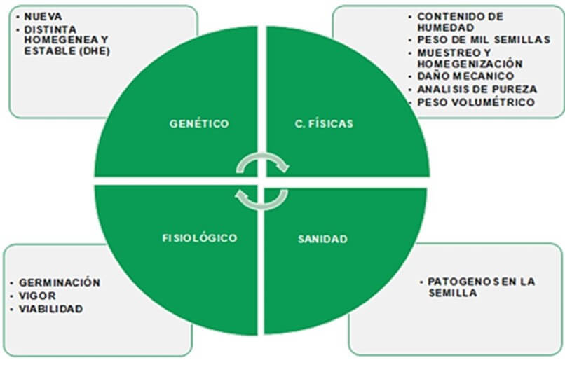 Componentes de calidad en semilla y sus atributos