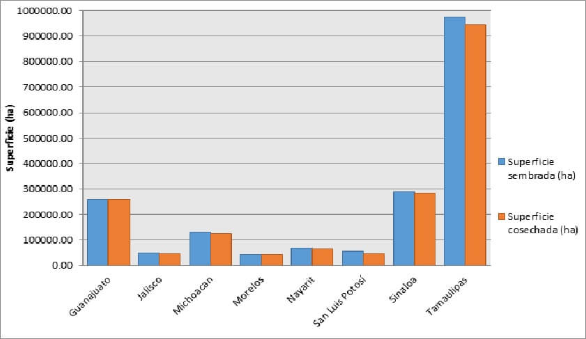  Grafico 