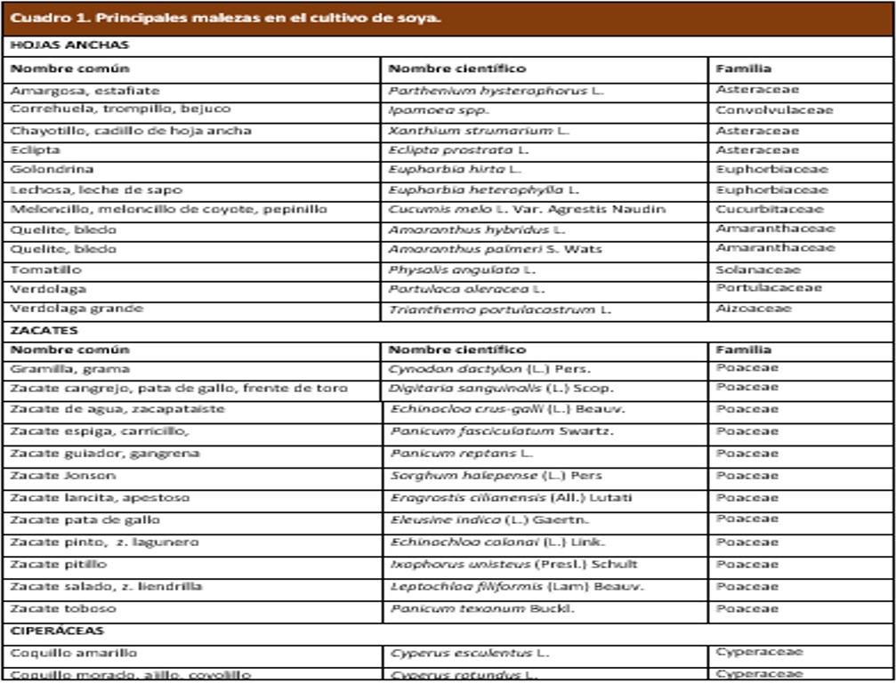 Tabla1