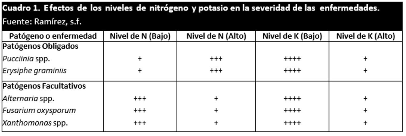 niveles