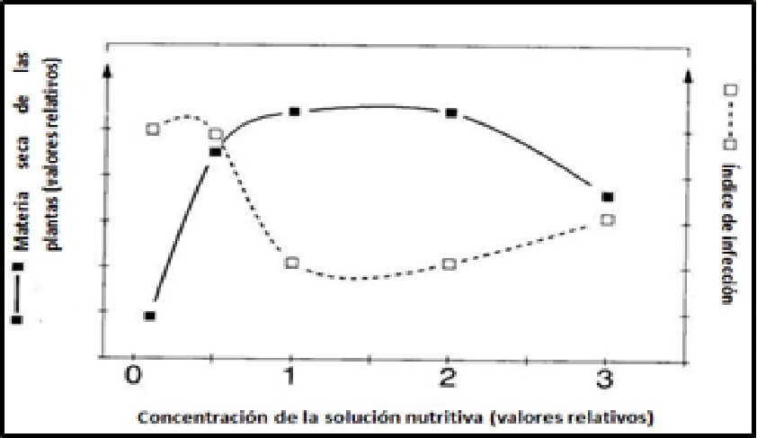  Concentracion 