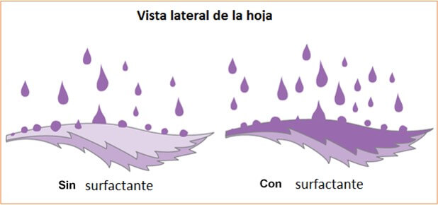 Surfactantes o tensioactivos