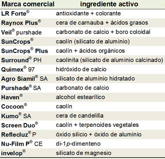 Protectores Solares