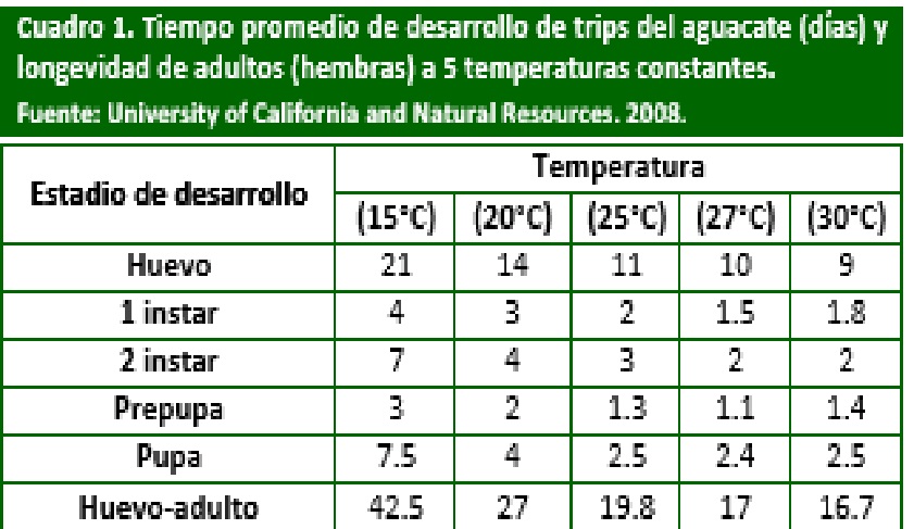  Tiempo promedio de desarrollo de trips del aguacate 