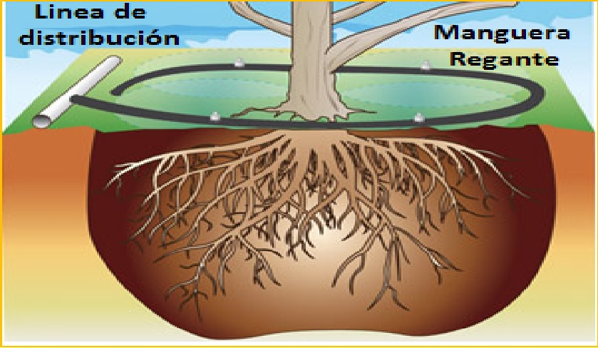  Riego Sectorizado 