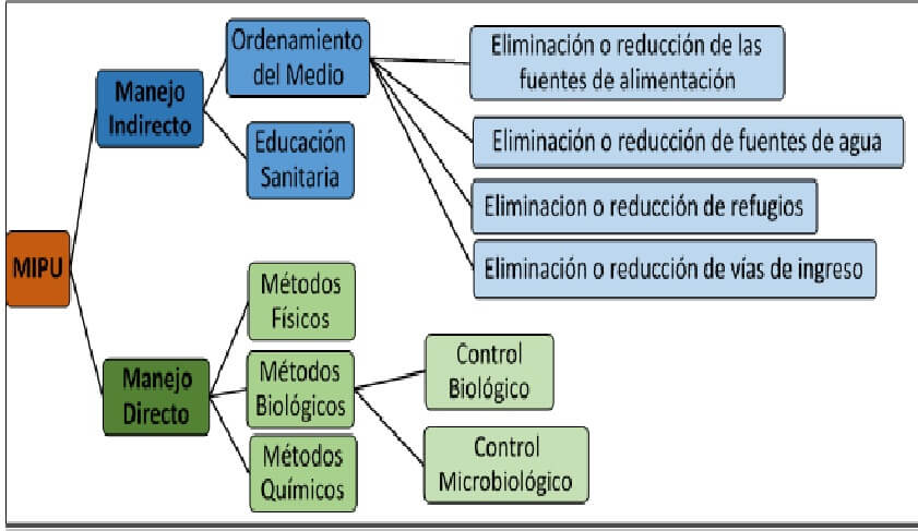  Esquema 