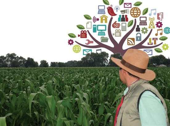 Lo que debe Saber un Agrónomo del Marketing Digital | Intagri .