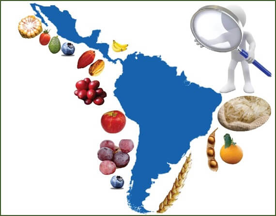 La Agricultura en Latinoamérica