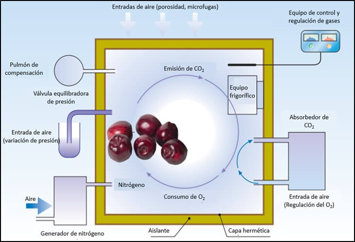 Esquema de una atmósfera controlada.