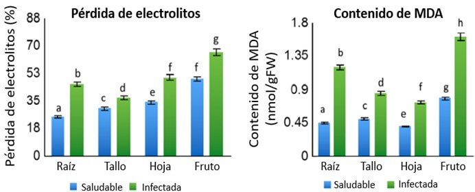 Perdida de electrolitos y contenido de MDA