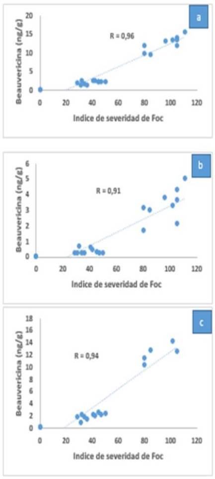 Correlaciones de aislamientos de fusarium y contenido de beauvericina