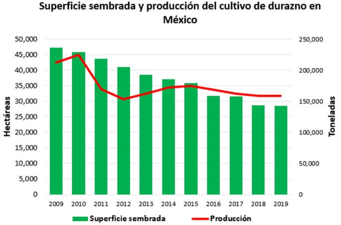 La reducción en la producción de durazno en México