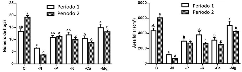 Efectos de deficiencias en número de hojas y área foliar.