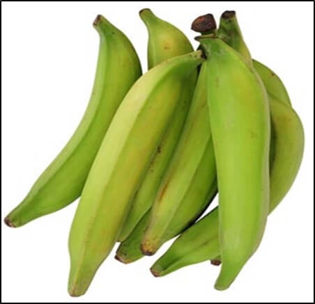 Plátano macho 