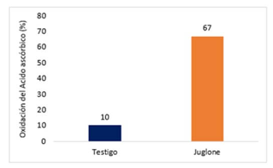 Efecto de incubación de juglone 