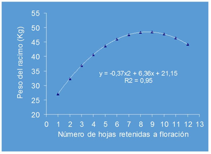 Efecto del número de hojas retenidas en la floración del banano 