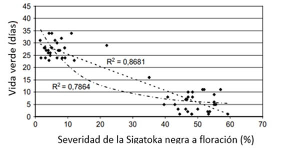 Índice de severidad en relación con la floración del banano 