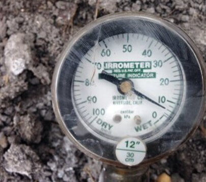 Tensiómetro establecido en suelo para medir humedad