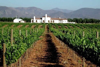 valle de guadalupe