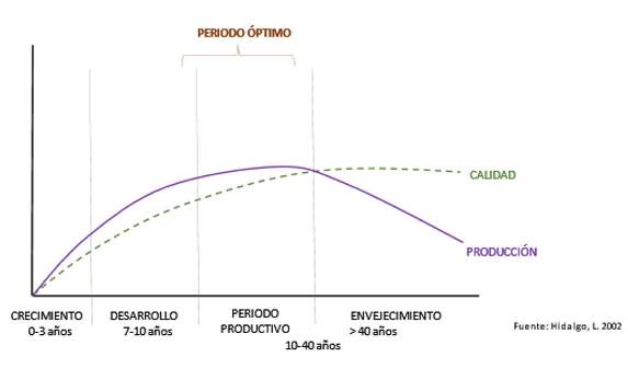 Relación calidad-producción en la uva