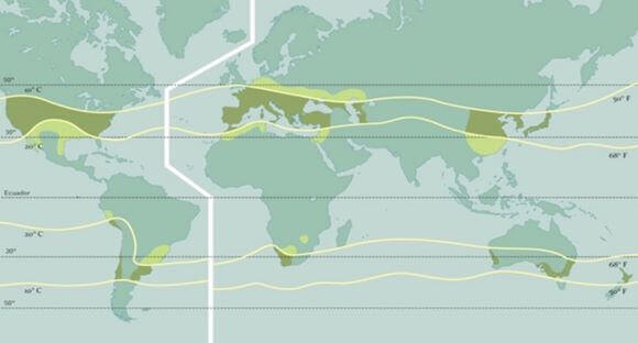 Se muestra las líneas de Wagner distribuidas en el planeta tierra 