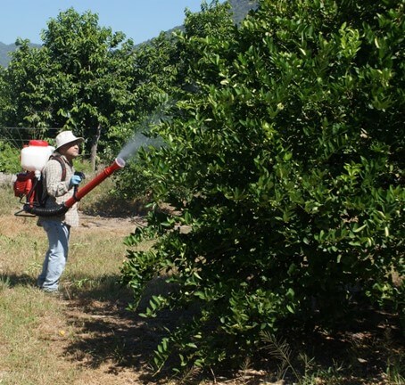 Aplicación de fungicidas en frutales 