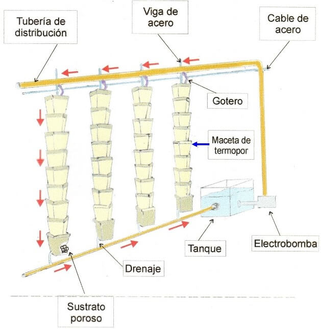 Proceso