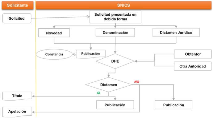 Diagrama sobre el proceso para obtener título de obtentor