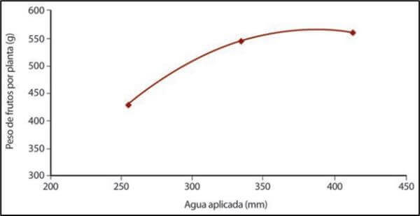 Efecto del riego sobre el rendimiento de Frutillas.