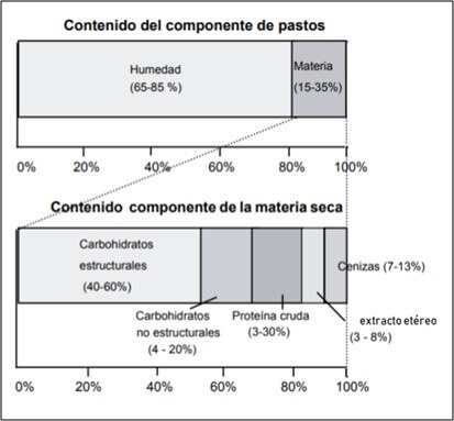 Concentración de los componentes de las gramíneas forrajeras