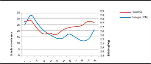 Cambios en los contenidos de proteína y energía de la pradera durante el año.