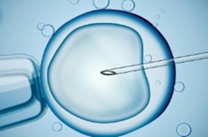 Fertilización in vitro.