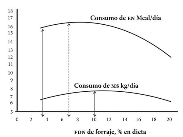 Relación entre el porcentaje de Fibra detergente neutro y el consumo de materia seca (Kg/MS/día) y energía (Mcal/día). 