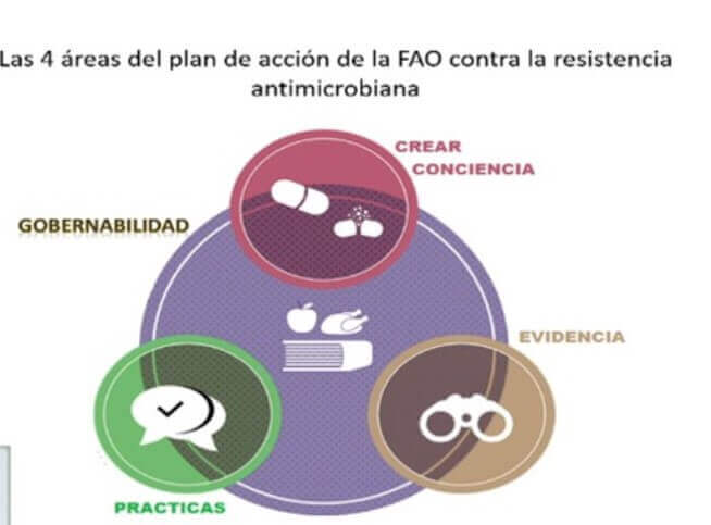 Plan de acción FAO contra la resistencia microbiana.