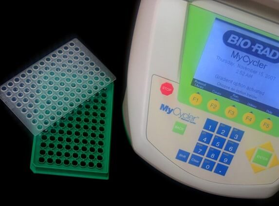 El diagnóstico de la mayoría de las enfermedades virales se realiza por medio de una combinación de  herramientas, tales como la evaluación clínica, la necropsia e histopatología y la identificación del agente a través del uso de pruebas moleculares como la RT-PCR.