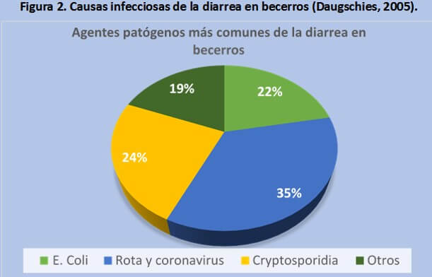 Causas infecciosas de la diarrea en becerros (Daugschies, 2005).