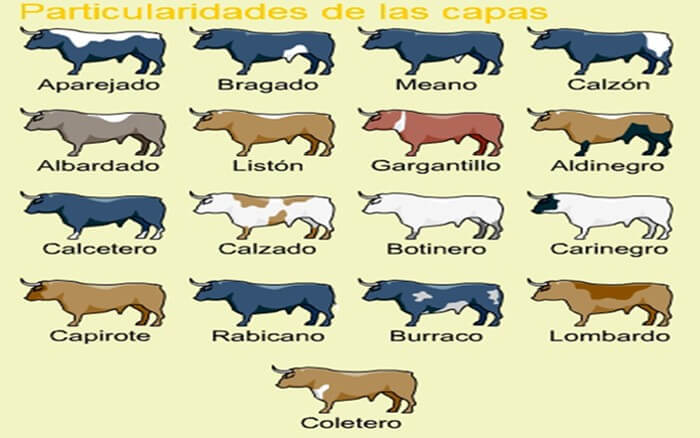 Capas de los toros de lidia (Pedraza, 2011).