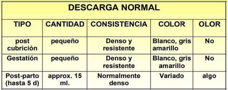 Características de descargas vulvares normales en cerdas (Sánchez, 2008).