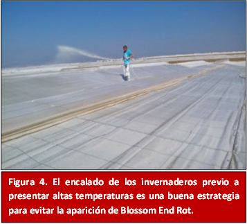 Encalado de los invernaderos