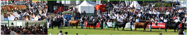 expo prado