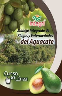 Curso virtual: Manejo Integrado de Plagas y Enfermedades del Aguacate